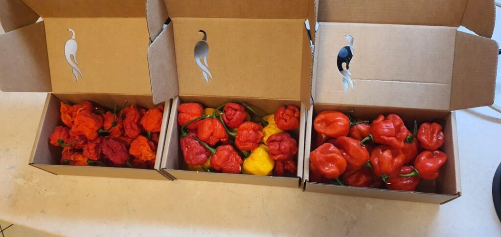 Been waiting for these for a week; endorphin high, here I come!