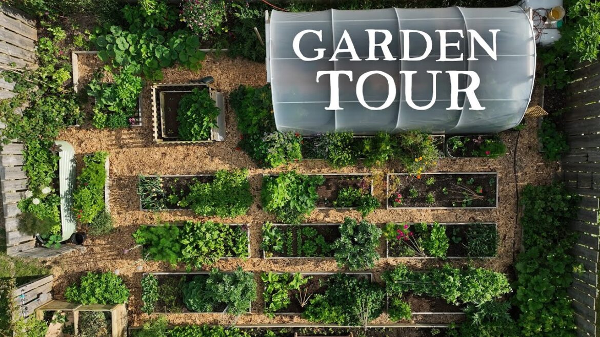 Complete Tour of My Permaculture Kitchen Garden (Packed With Flavours and Colours) Complete Tour of My Permaculture Kitchen Garden (Packed With Flavours and Colours)