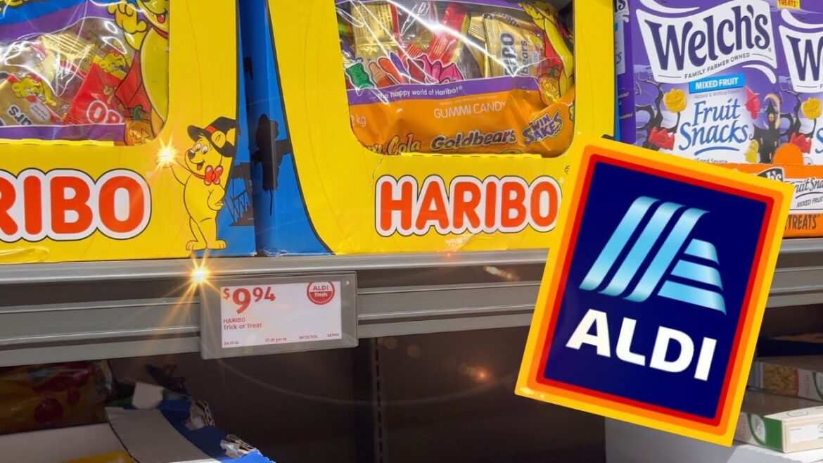 Sweet Find!! Weekly ALDI Grocery Haul Fall 2024 Sweet Find!! Weekly ALDI Grocery Haul Fall 2024