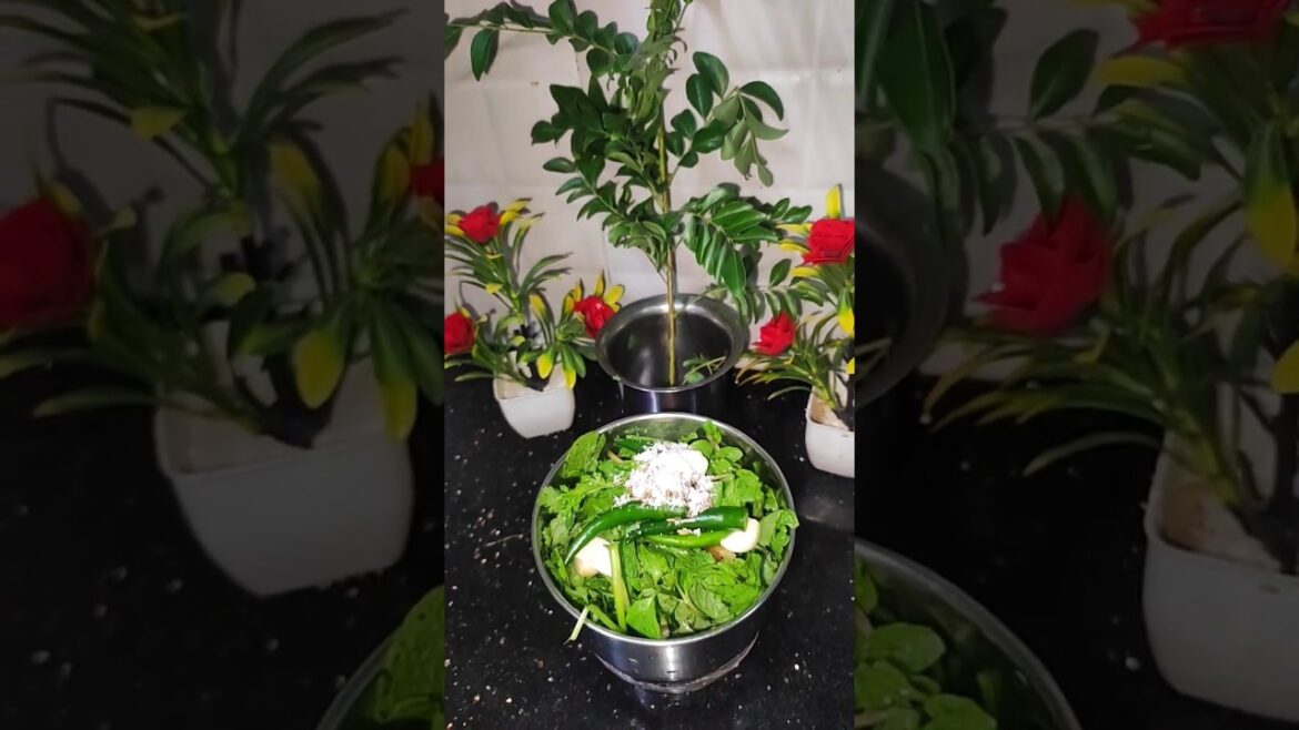 Mint chutney for tandoor / kebab / grill || green chutney recipe || mint yogurt dip