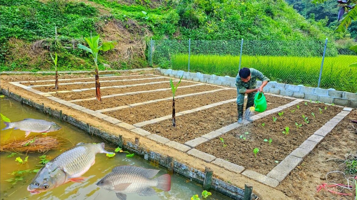 Building a vegetable garden with concrete bricks, gardening, growing vegetables
