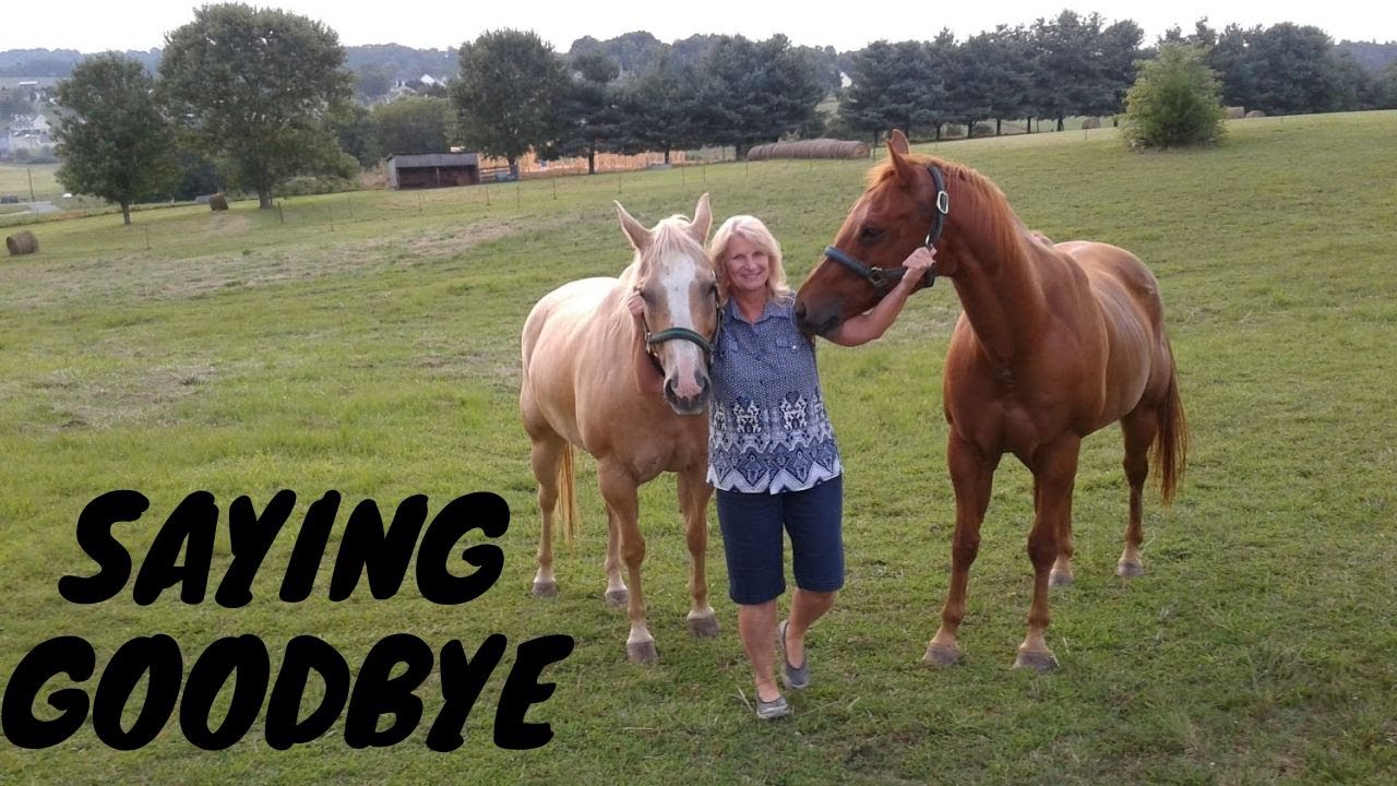 Saying Goodbye to Horses, Helene Update, Making Tuscan White Bean and