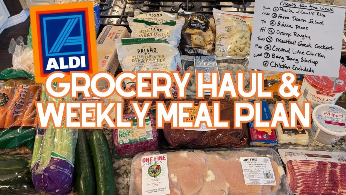 ALDI Grocery Haul & Weekly Menu: Did I Go Over Budget in My Meal Planning?