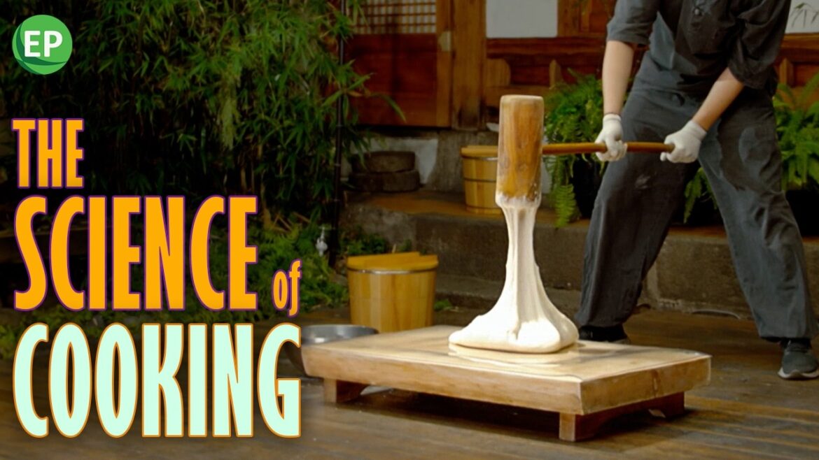 The Power of Force in Cooking | How Physical Force Transforms Ingredients | Science of cooking The Power of Force in Cooking | How Physical Force Transforms Ingredients | Science of cooking