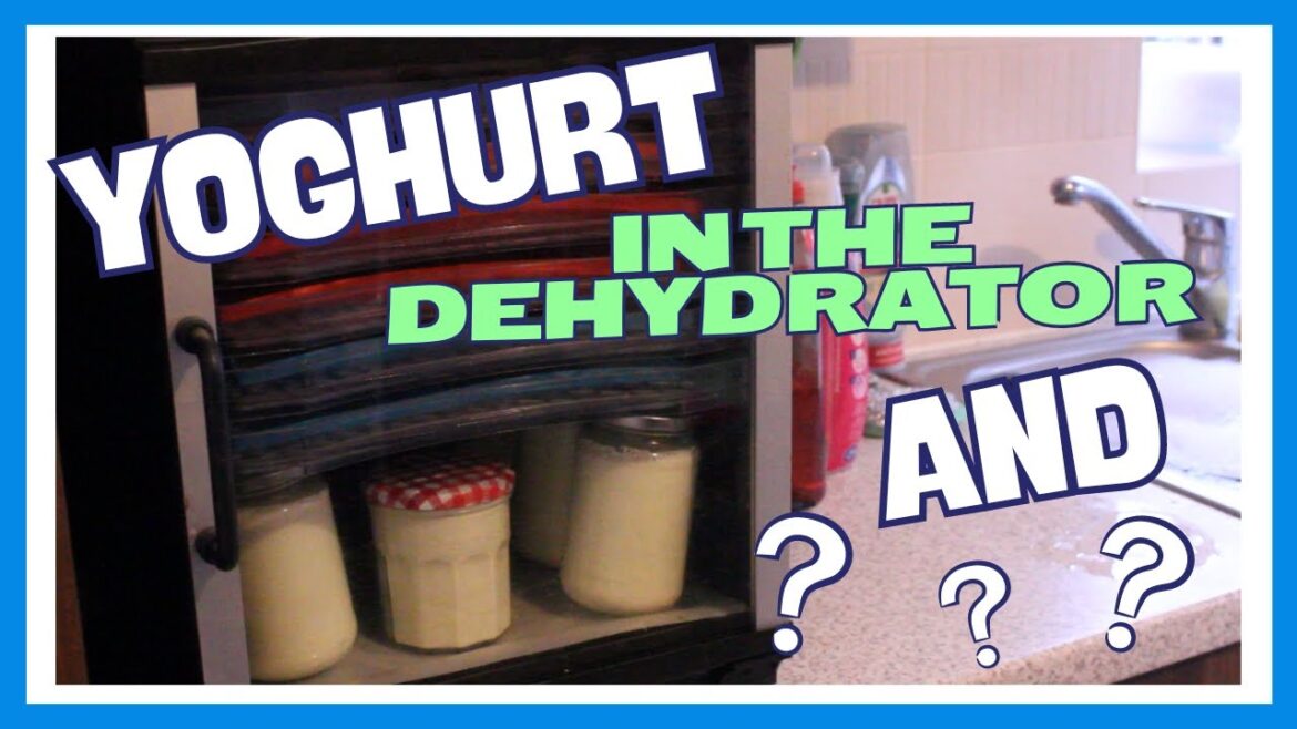 Delicious Homemade Yogurt Made Easy With A Dehydrator + Bonus Recipe! Delicious Homemade Yogurt Made Easy With A Dehydrator + Bonus Recipe!