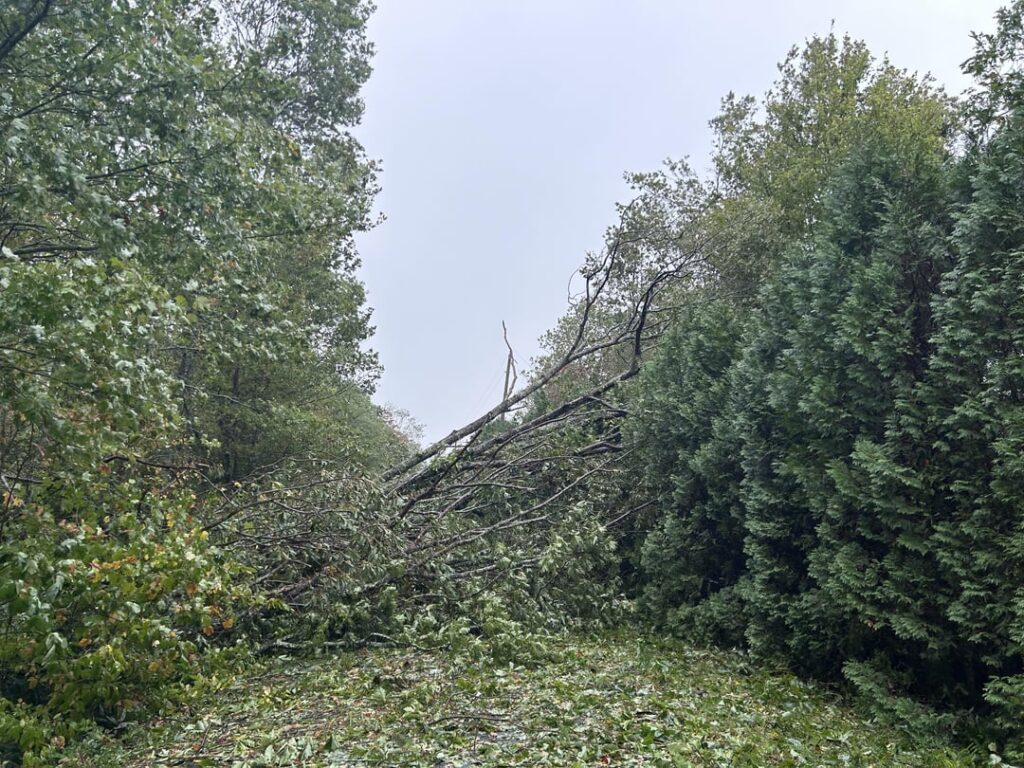 NC Mountains have been devastated