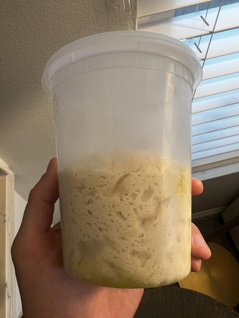 Tavern Pizza - noob baking question