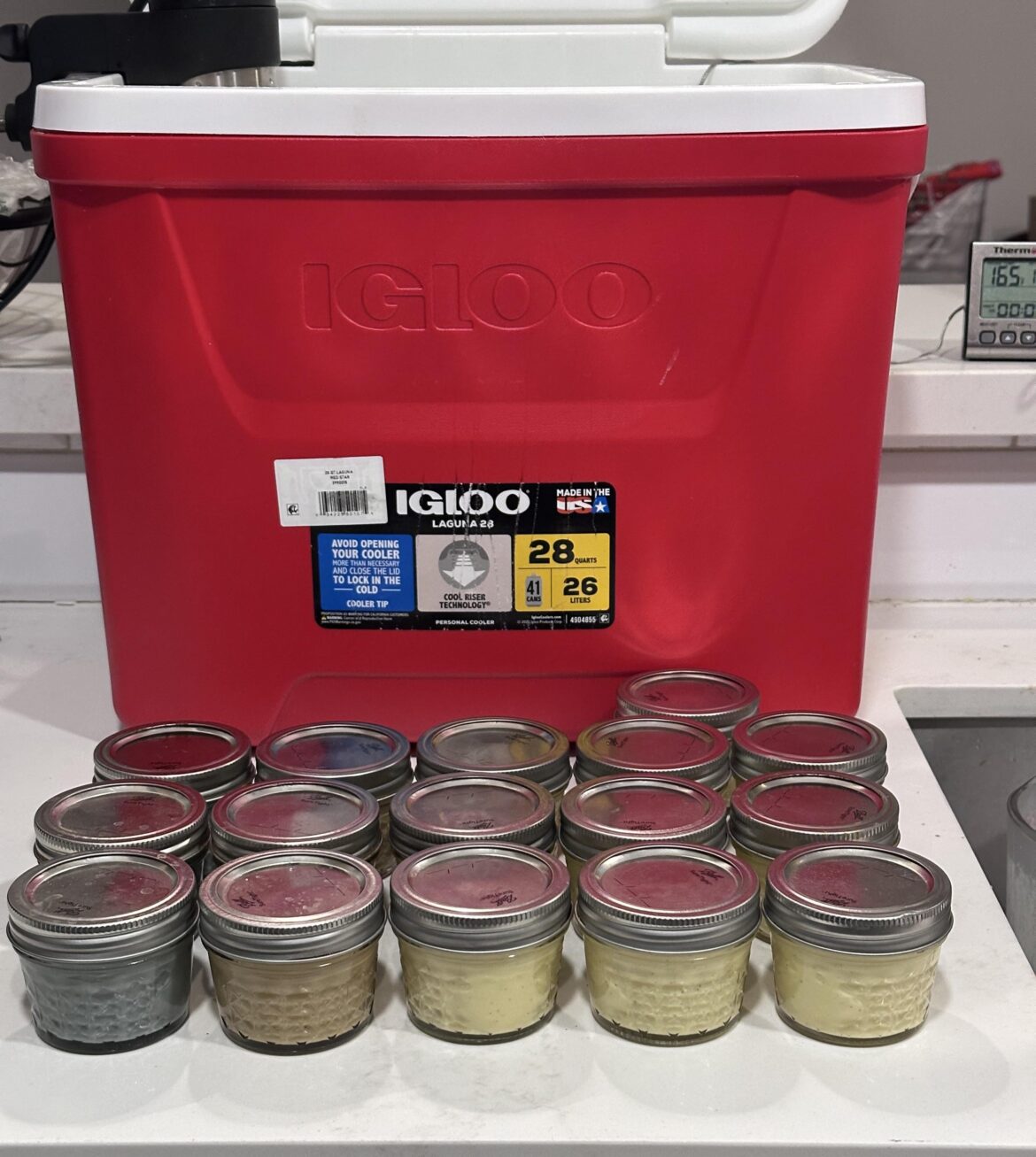 Made some creme brûlée for my niece’s birthday. It was a hit!