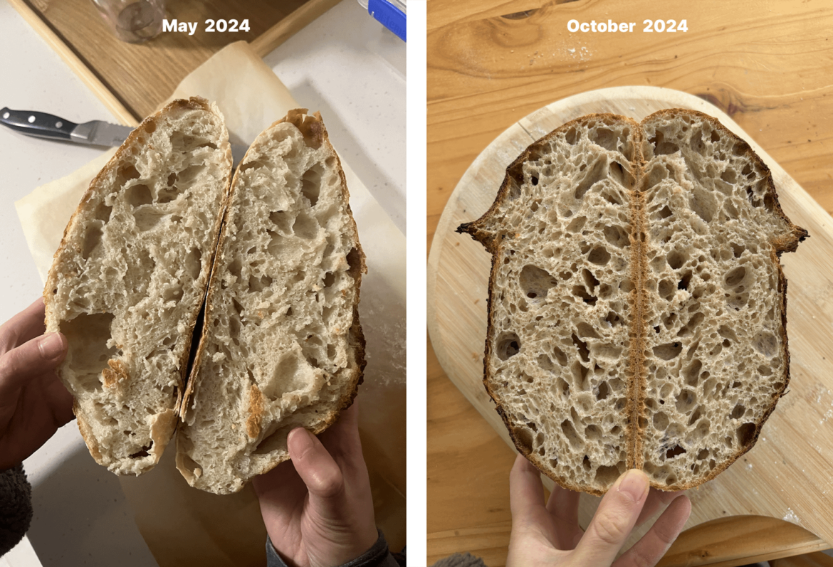 Crumb progress 🥹