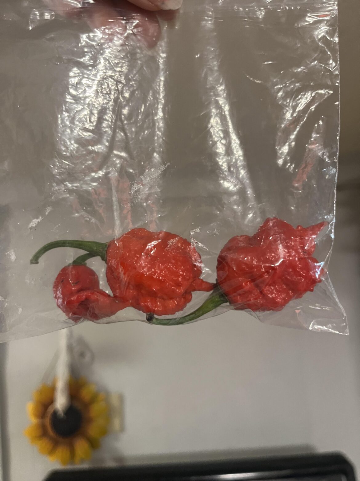 Suggestions for these peppers?