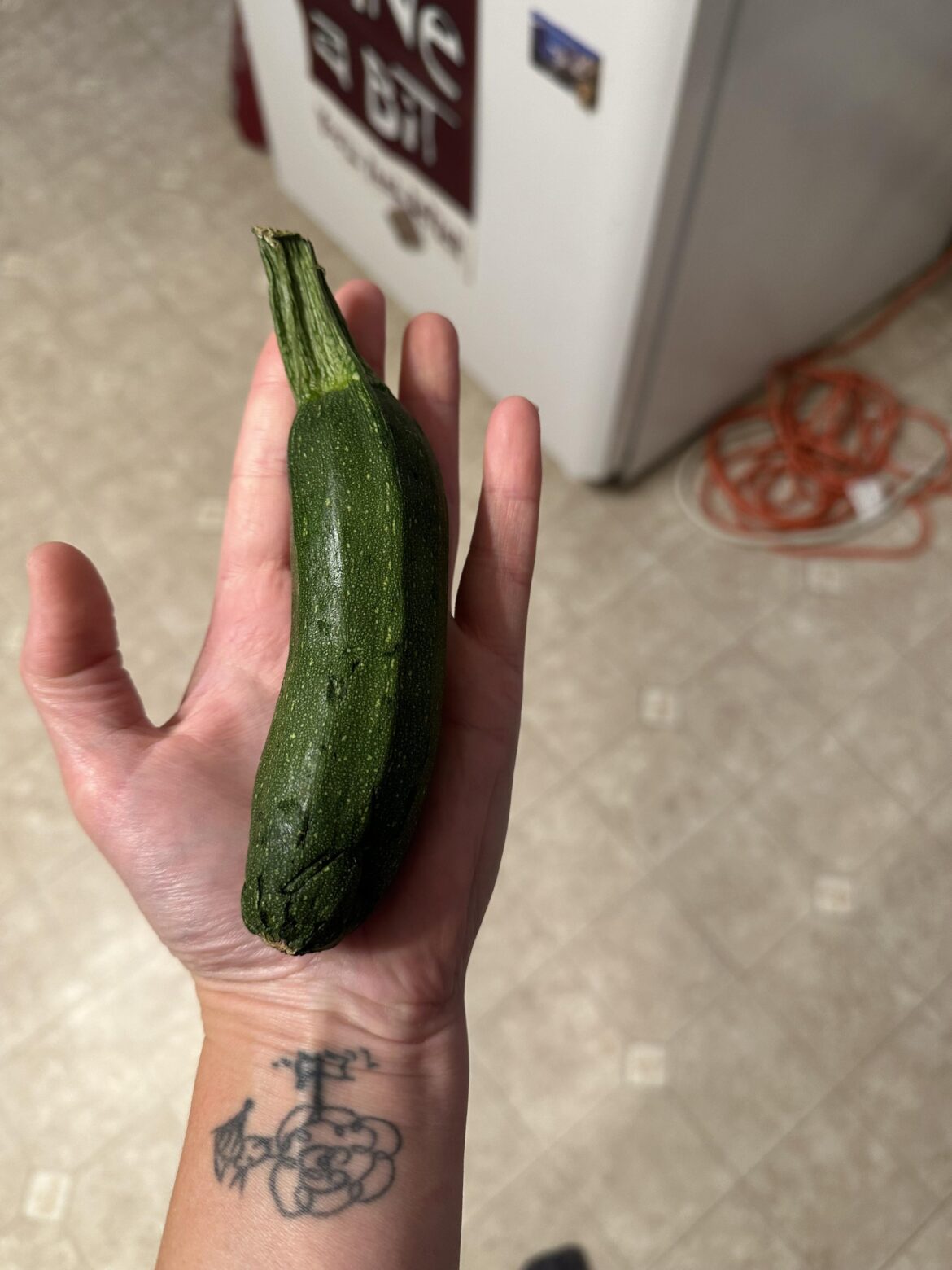I’m sorry but wtf is this zucchini I received