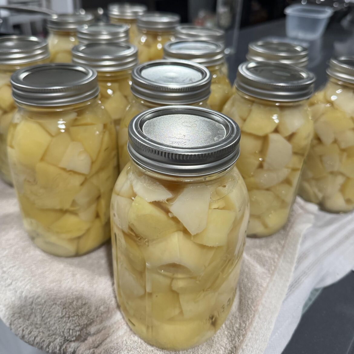 14 quarts of mystery potatoes – fully stocked for a year! 14 quarts of mystery potatoes - fully stocked for a year!