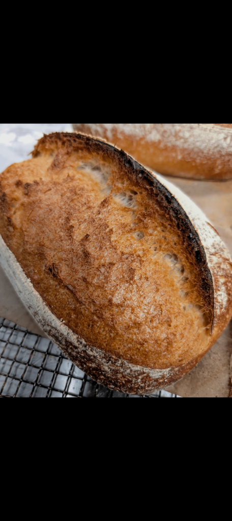 Not a baker but am a professional chef mainly learnt how to make bread through YouTube videos