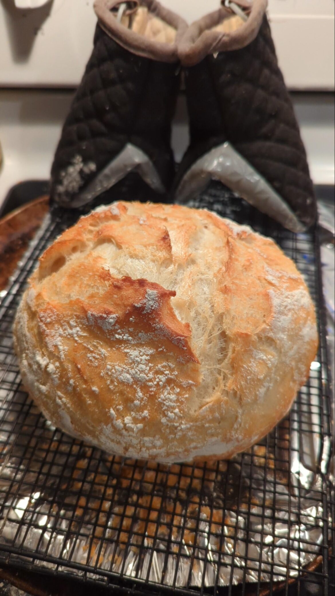 Husband said, "Bakery bread!" Friend said, "Beautiful!" Felt confident enough to share.