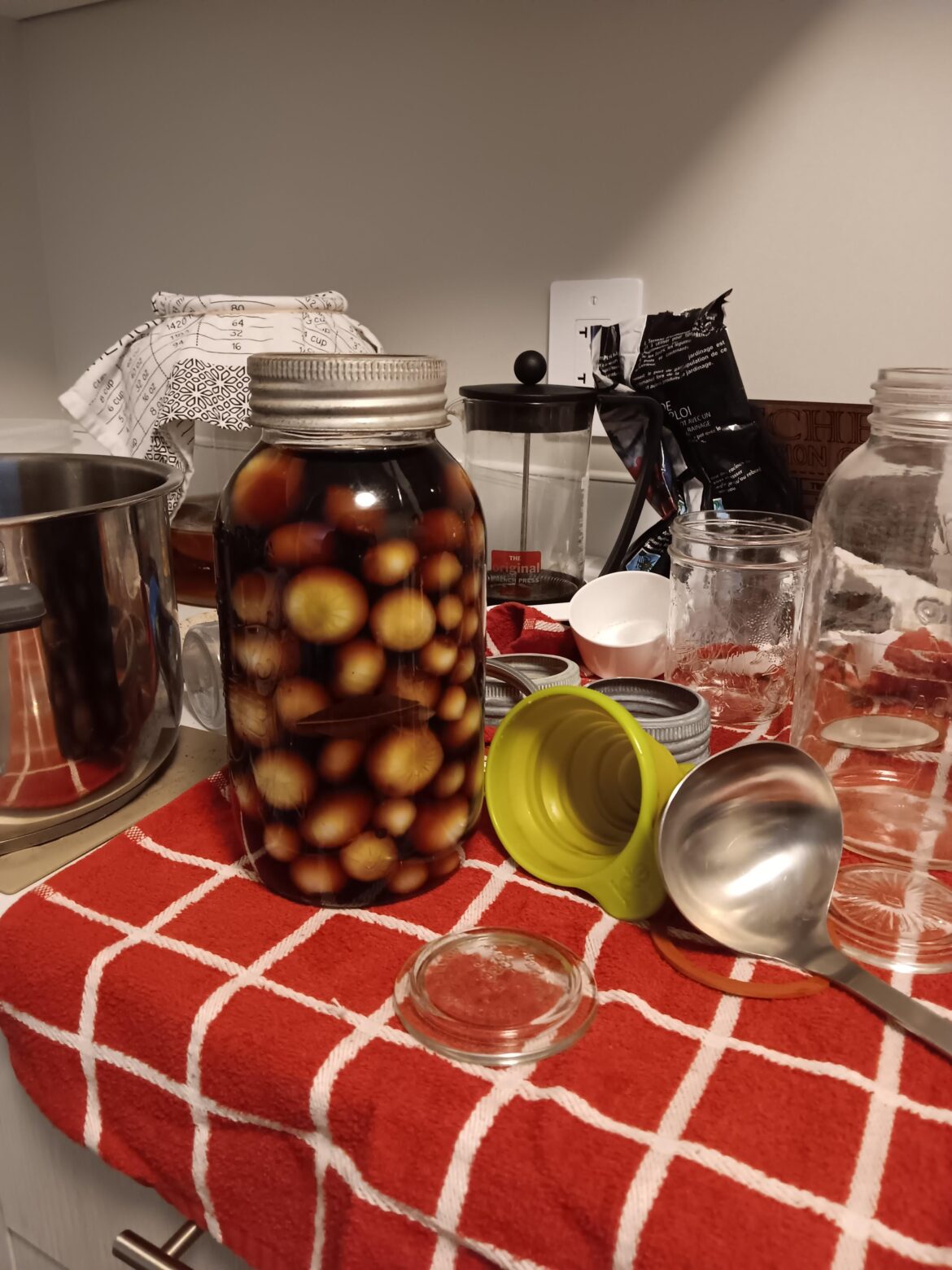 Hey I'm back with an update on how those English pickled onions turned out! They were so incredibly good! My human loved them I have no pictures besides my original ones lol