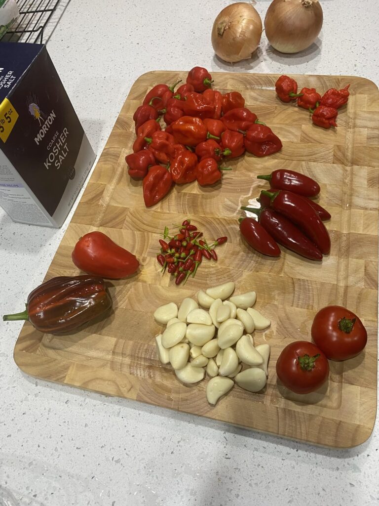 Tried making a fermented sauce at home