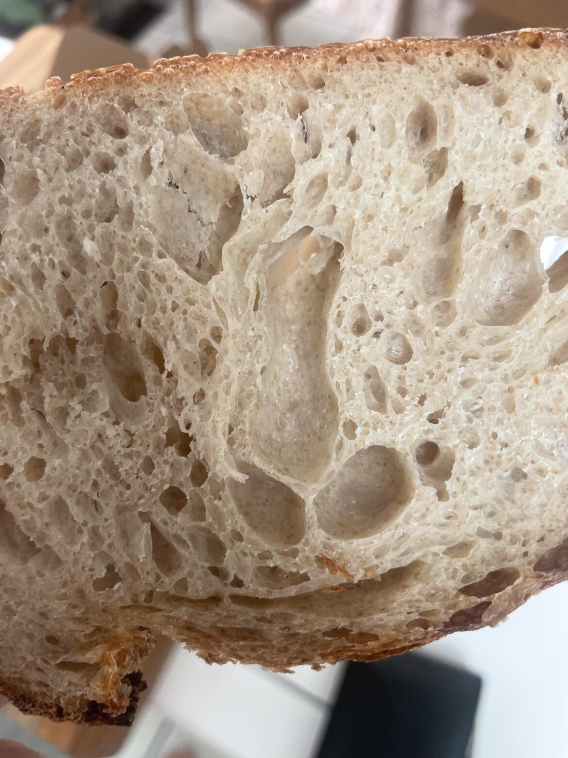 What do you guys think of my crumb