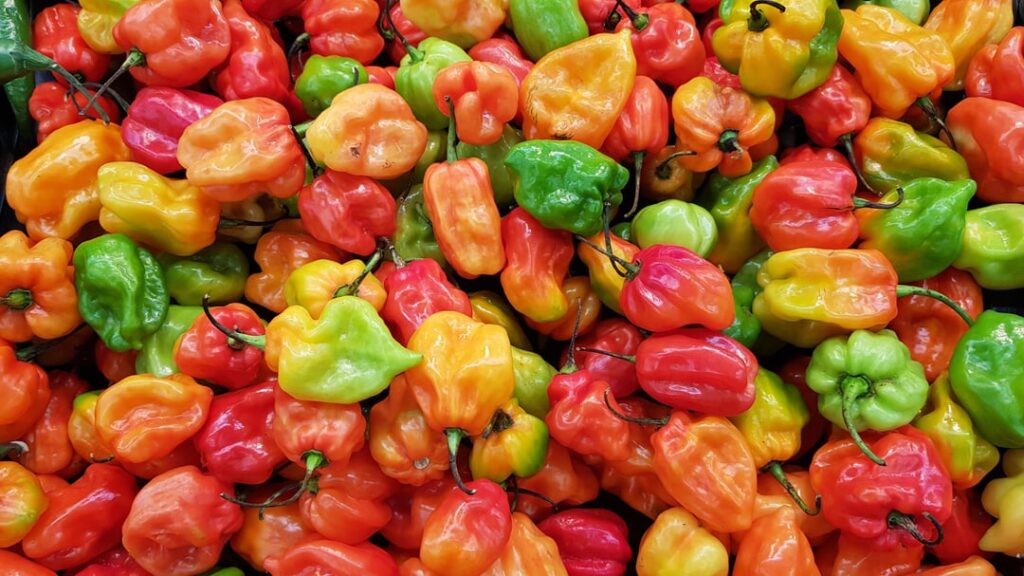 Habaneros