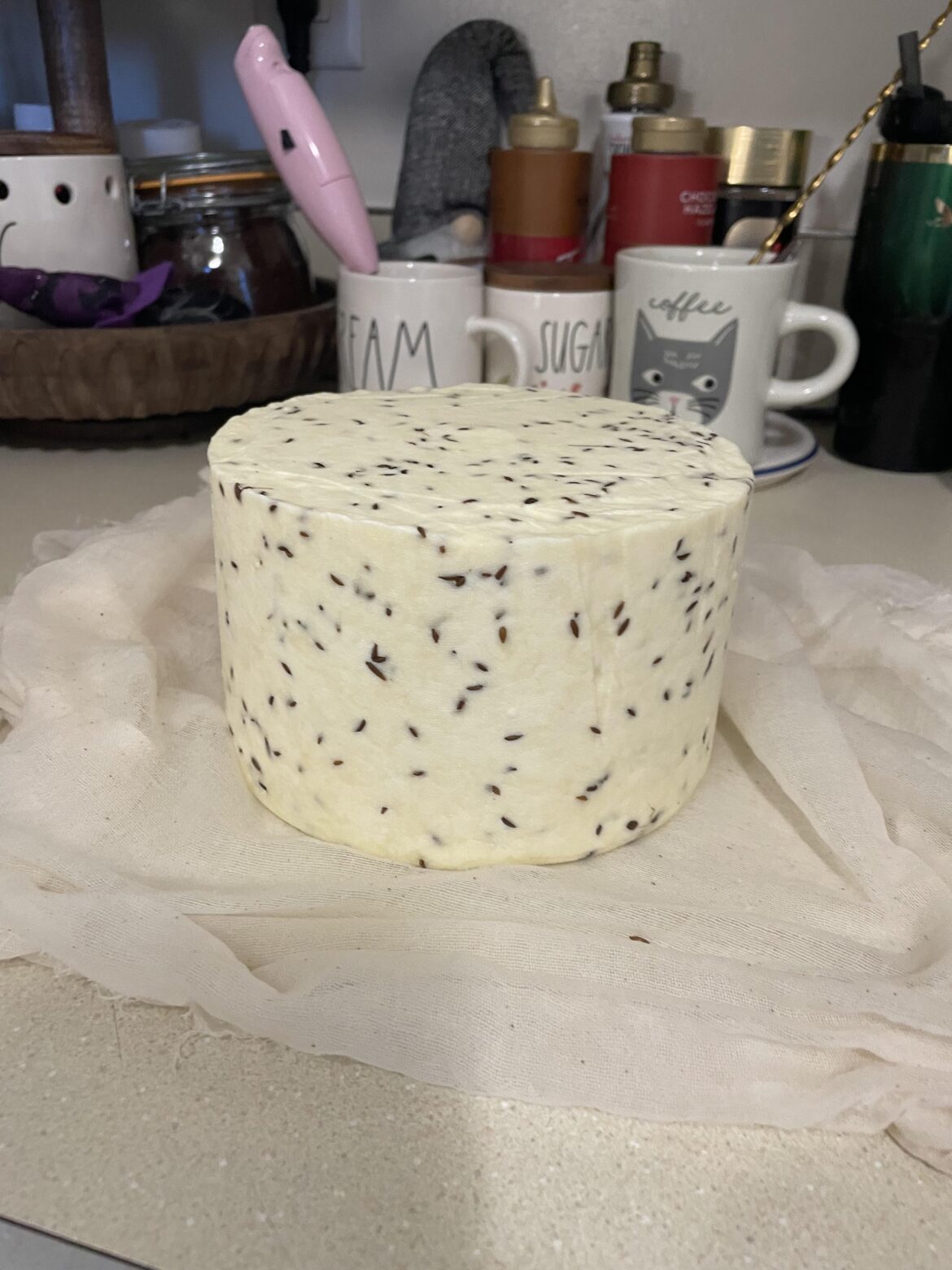 Made a caraway Colby yesterday