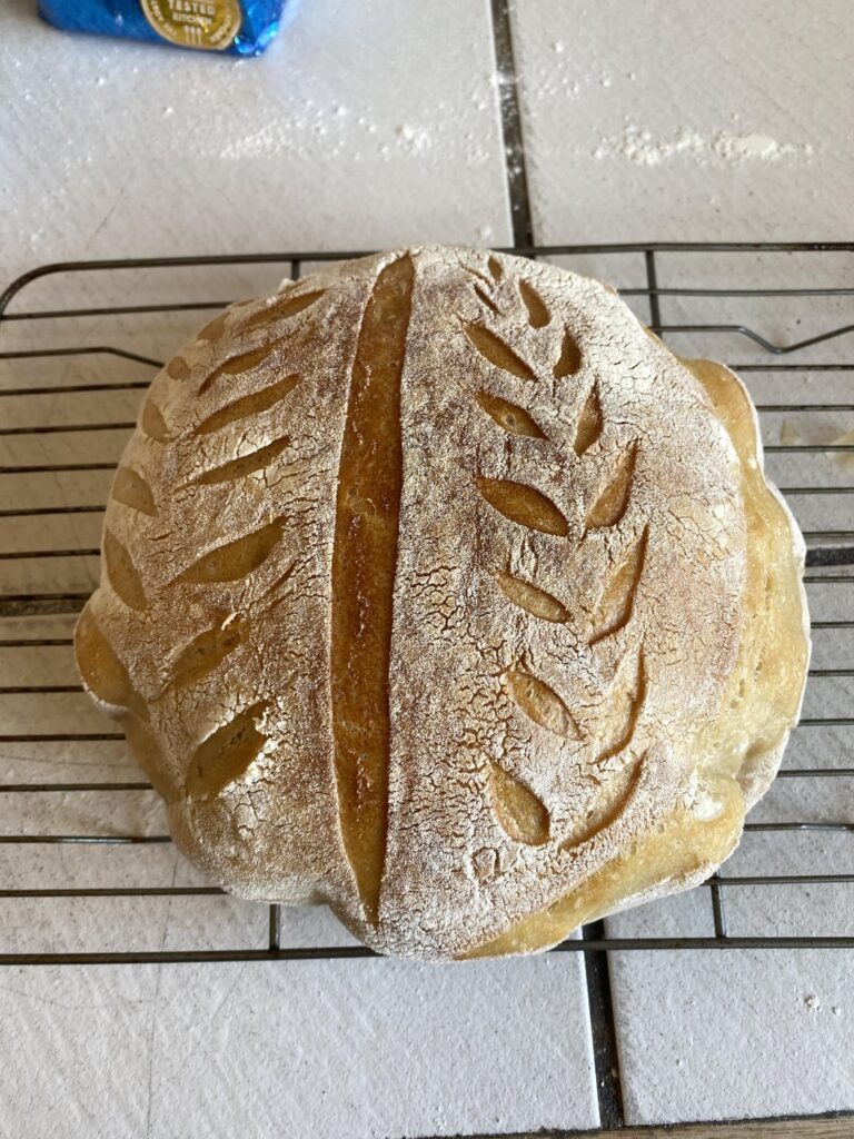 Feedback on first loaf!