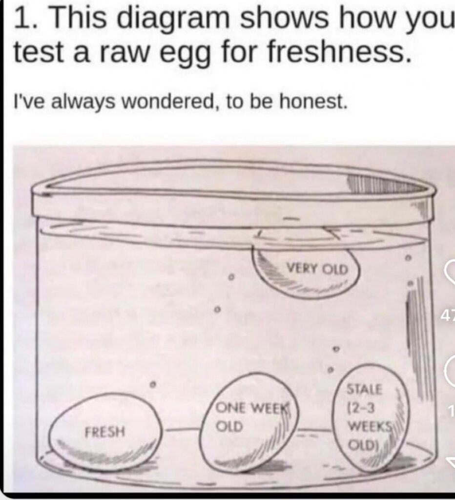 Now you know 🥚🍳
