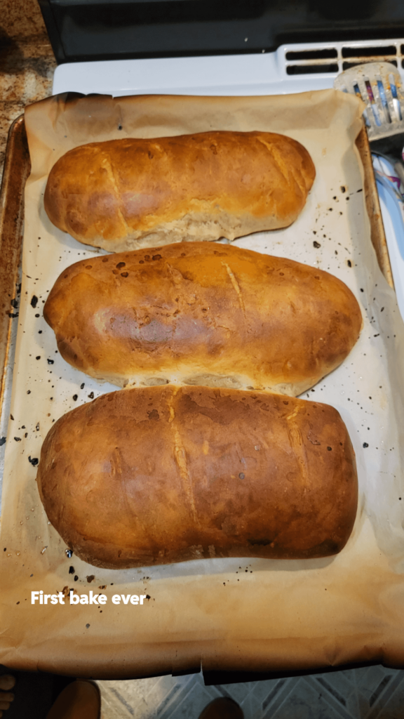 My bread progression over the past year!