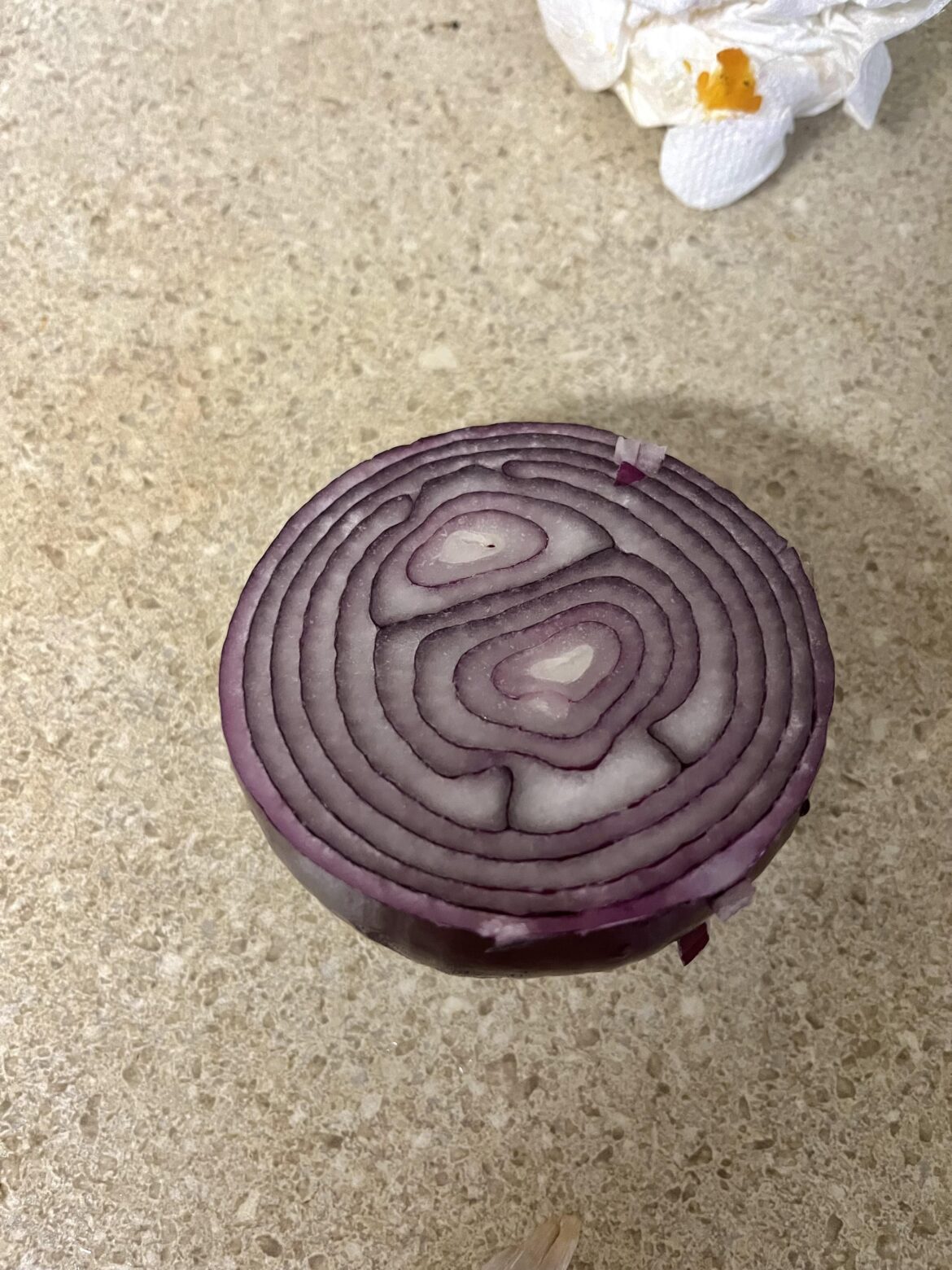 Beautiful and unique double center red onion