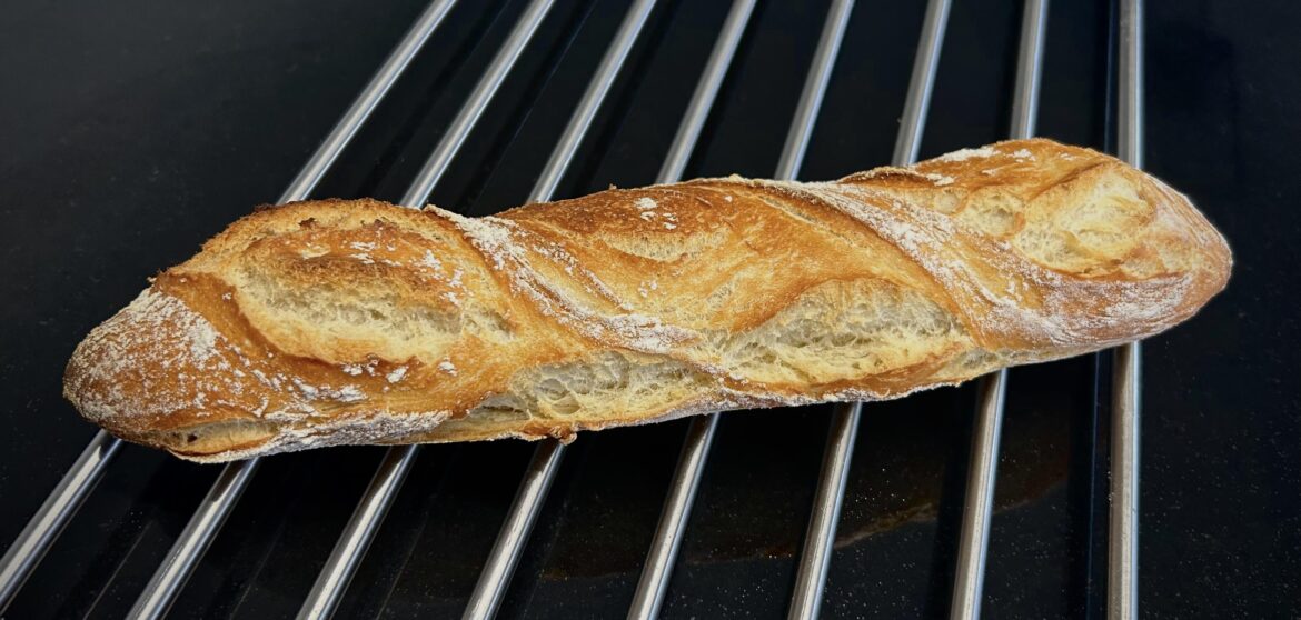 Sourdough Baguette first Try
