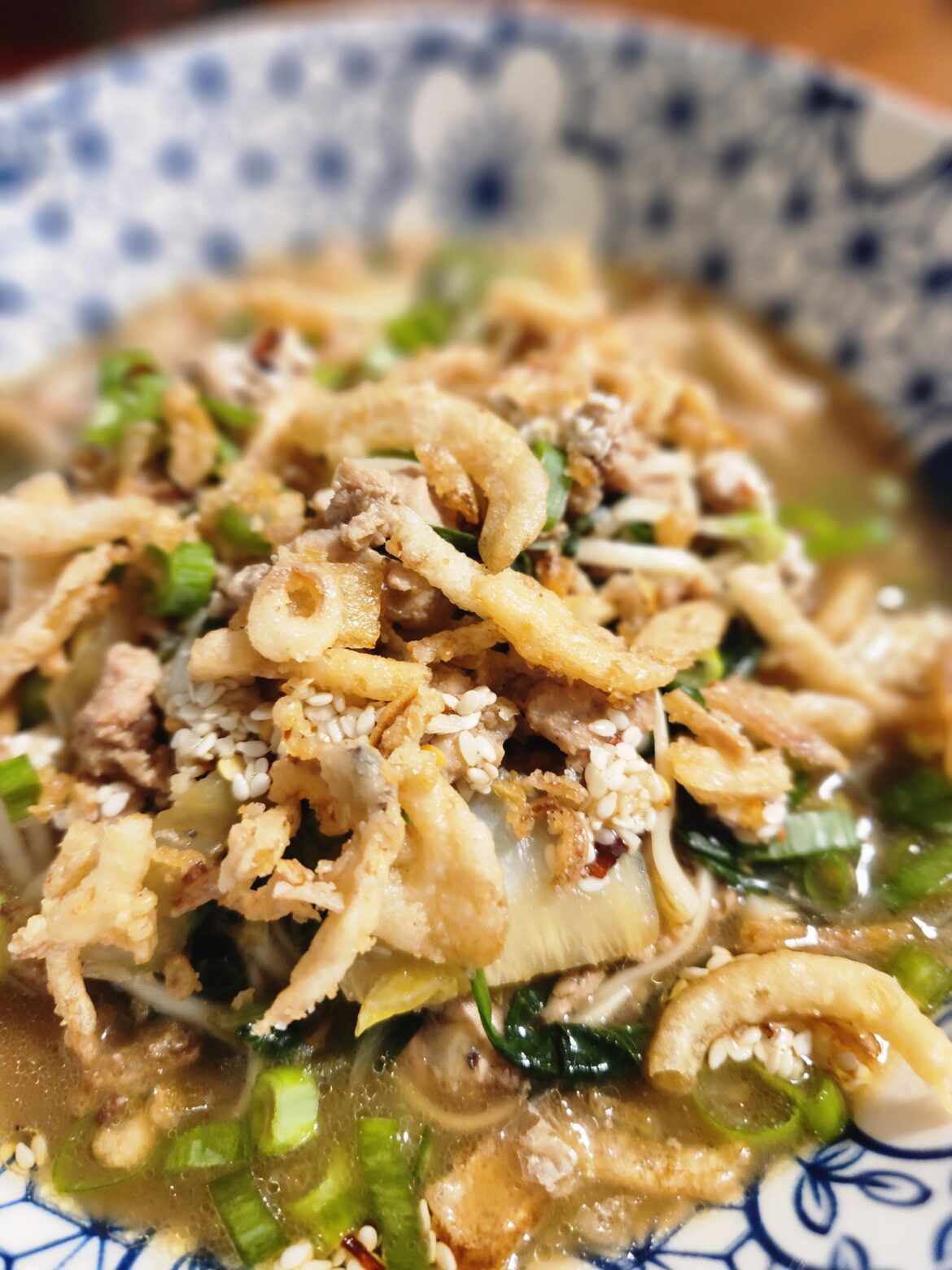 Pork ramen in shoyu style broth