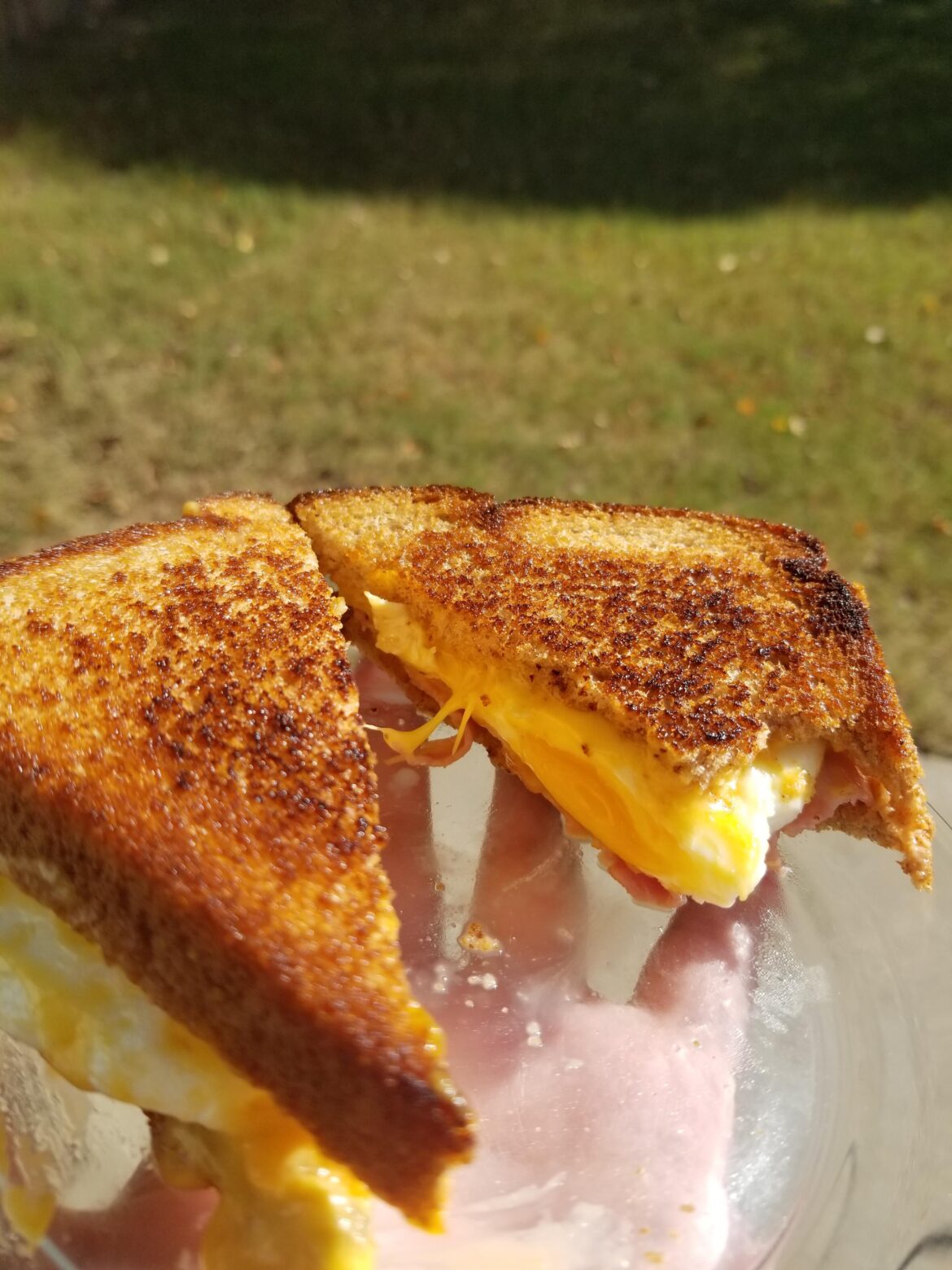 Wheat bread, cheese, ham, little thousand island and some garlic powder. Plus the gorgeous egg.