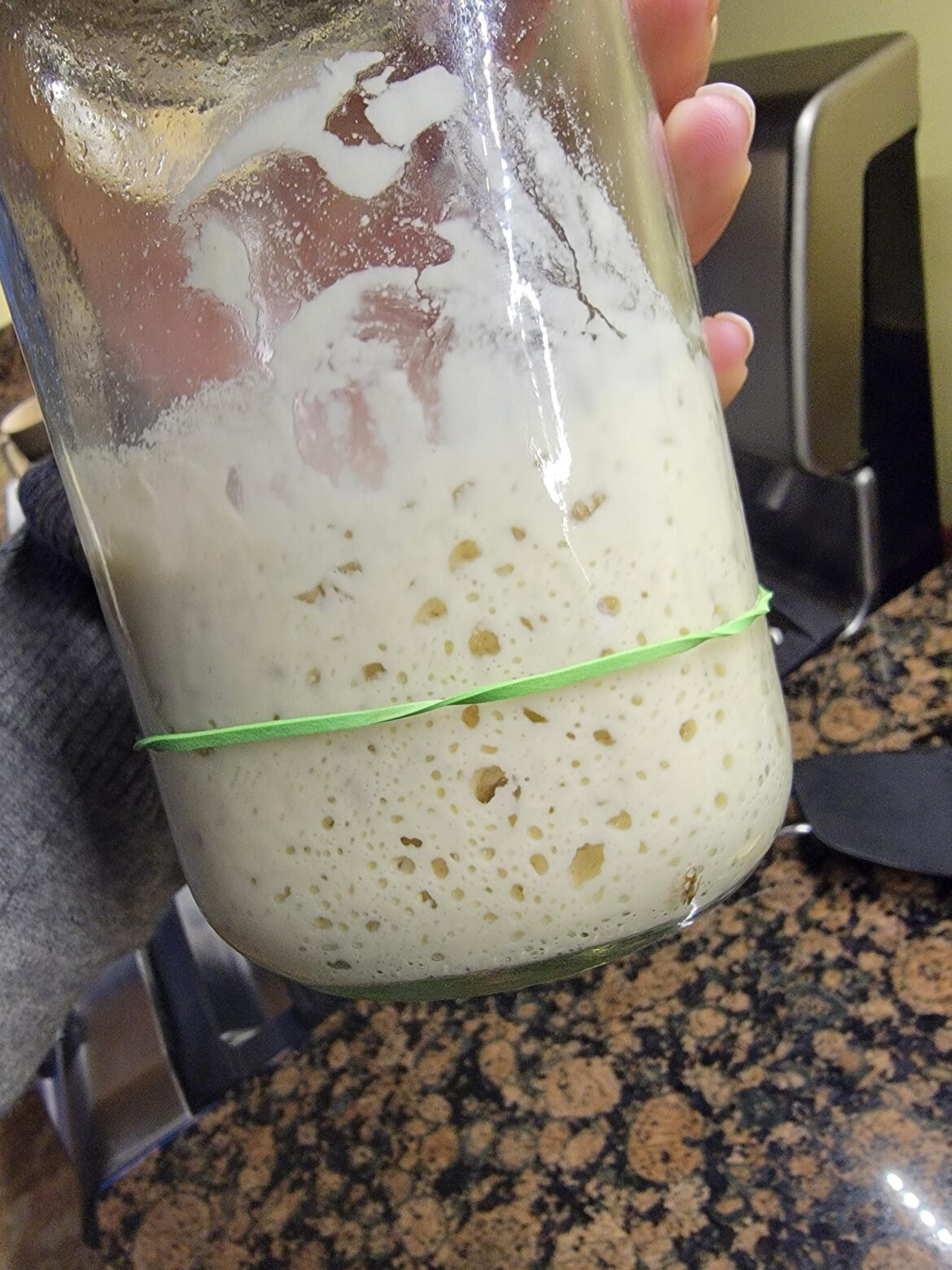 Update: My +1yr unfed starter is aliiiiive!