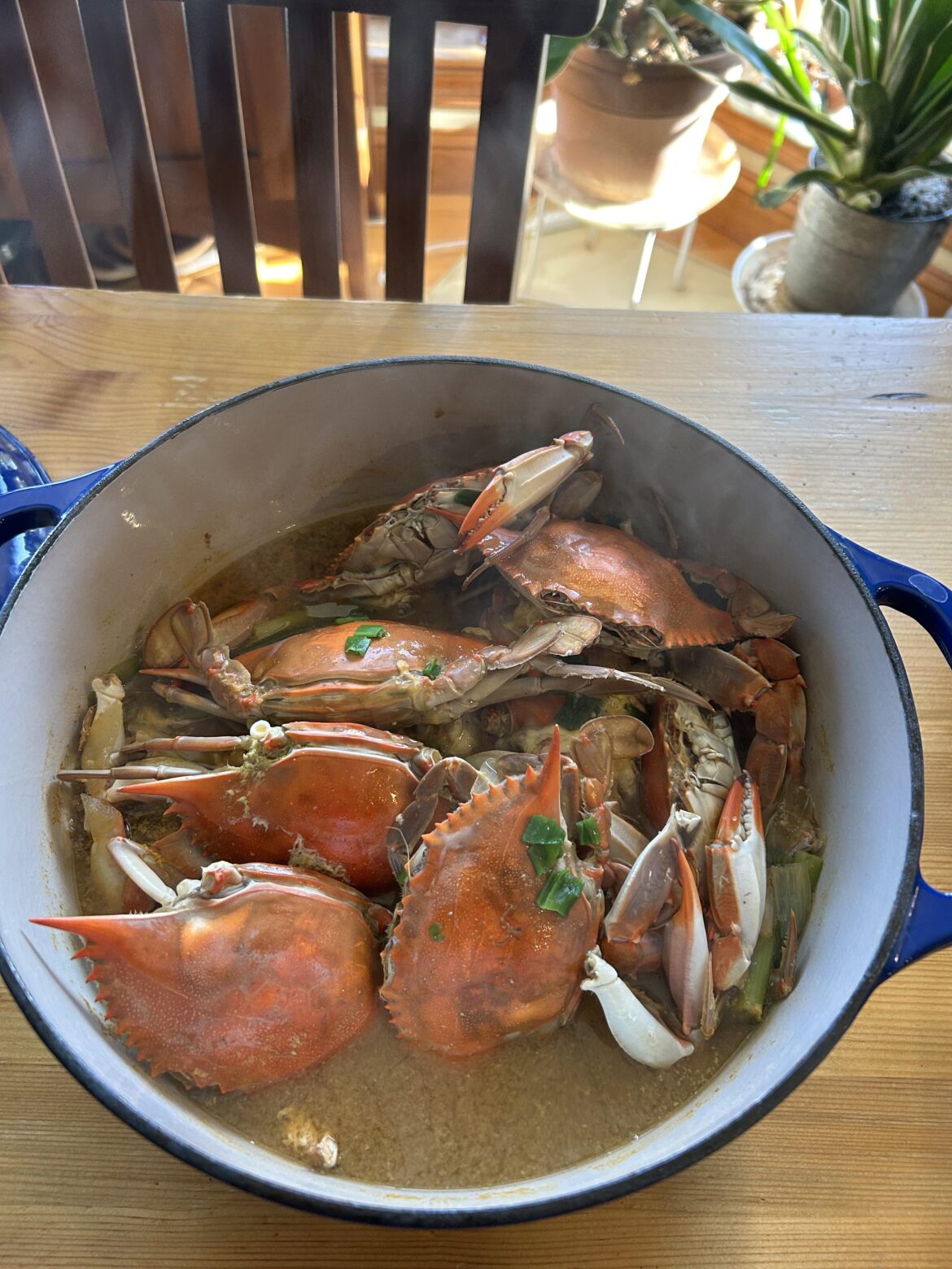 My version of꽃개탕