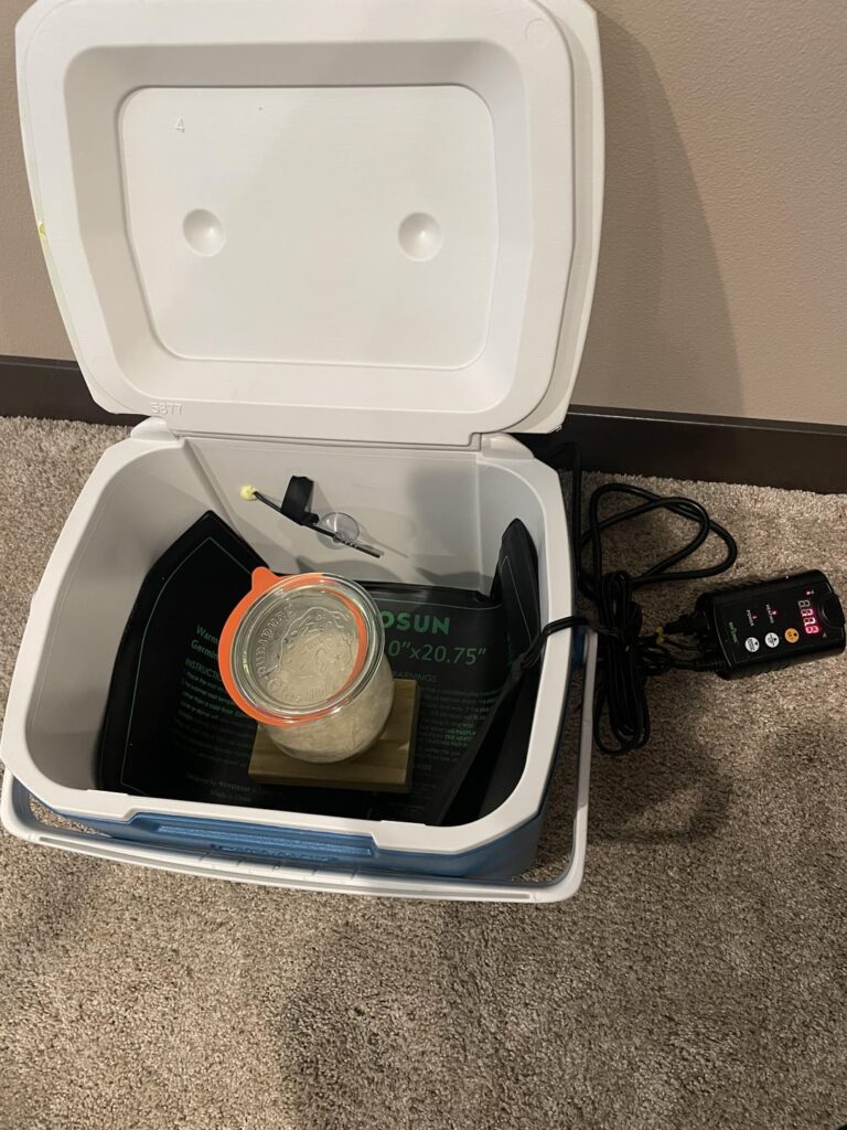 After two failed starters due to lack of warm temperatures, my boyfriend made me a proofing box!