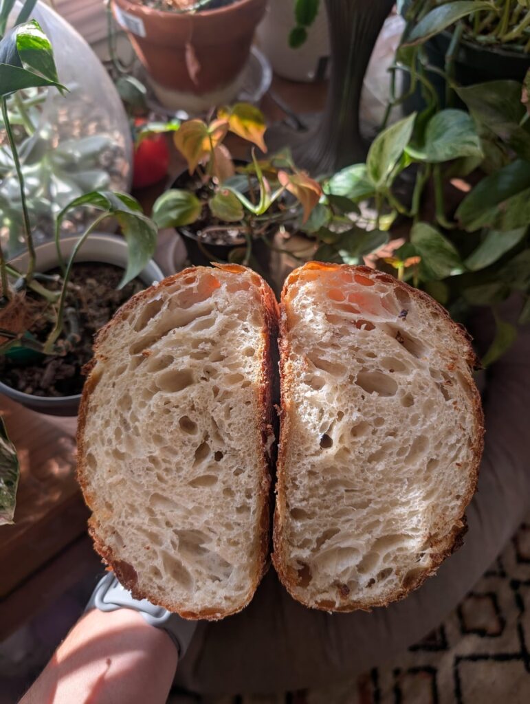 Finally getting consistent loaves