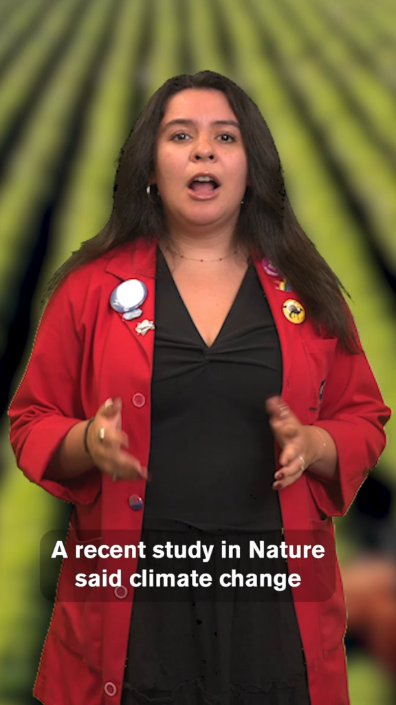 Coffee Crisis: How Climate Change is Threatening Latin American Coffee Farmers