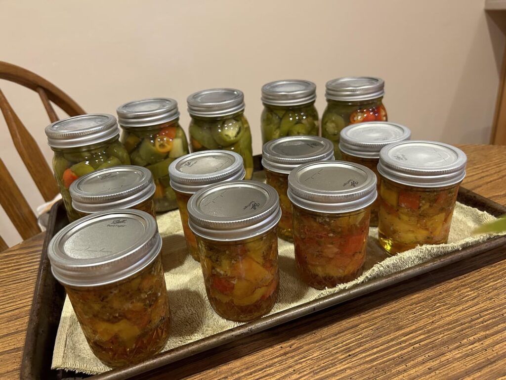 Newbie wanting to see if these bubbles are normal Newbie wanting to see if these bubbles are normal