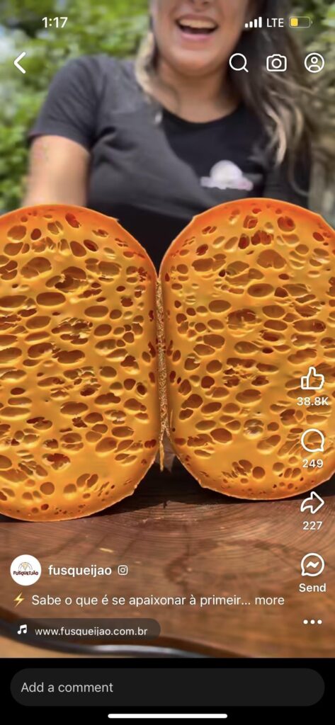 It looks so fascinating!