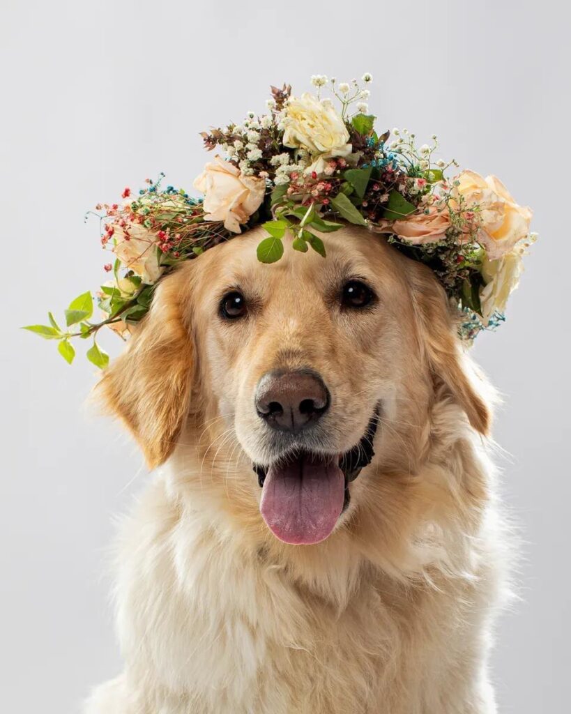 Look how beautiful you are.