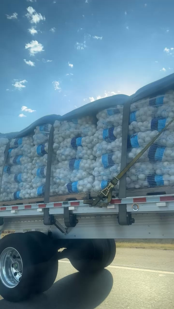 Me on my way home to make soup