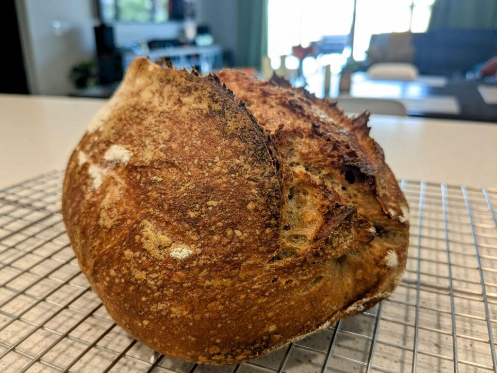 My first whole wheat sourdough loaf - how'd I do?