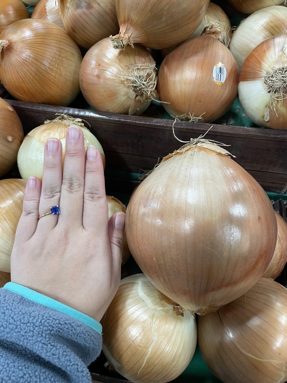 Biggest onion in the store