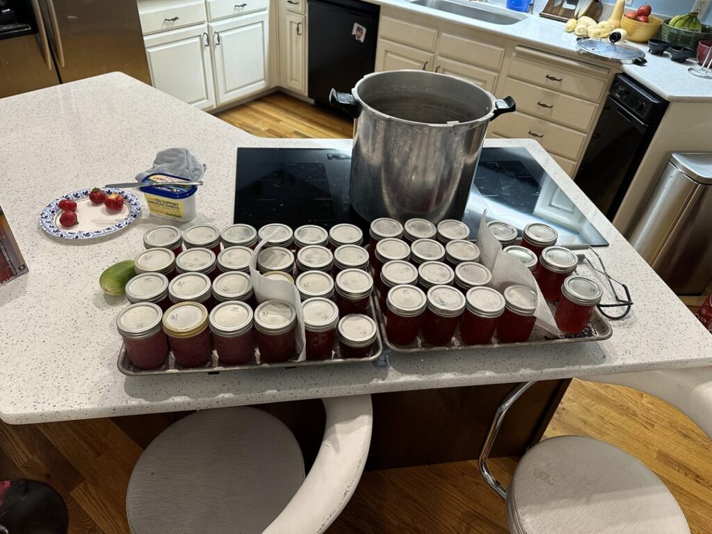 Watermelon jelly Watermelon jelly