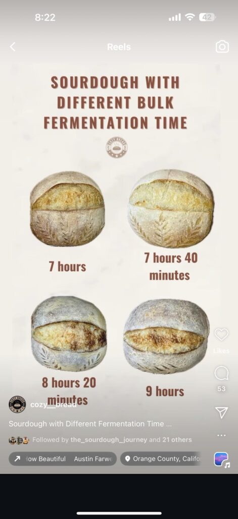 Sourdough photos stolen by a bread proofer merchant