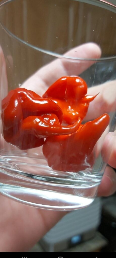 Shot of Reaper anyone?