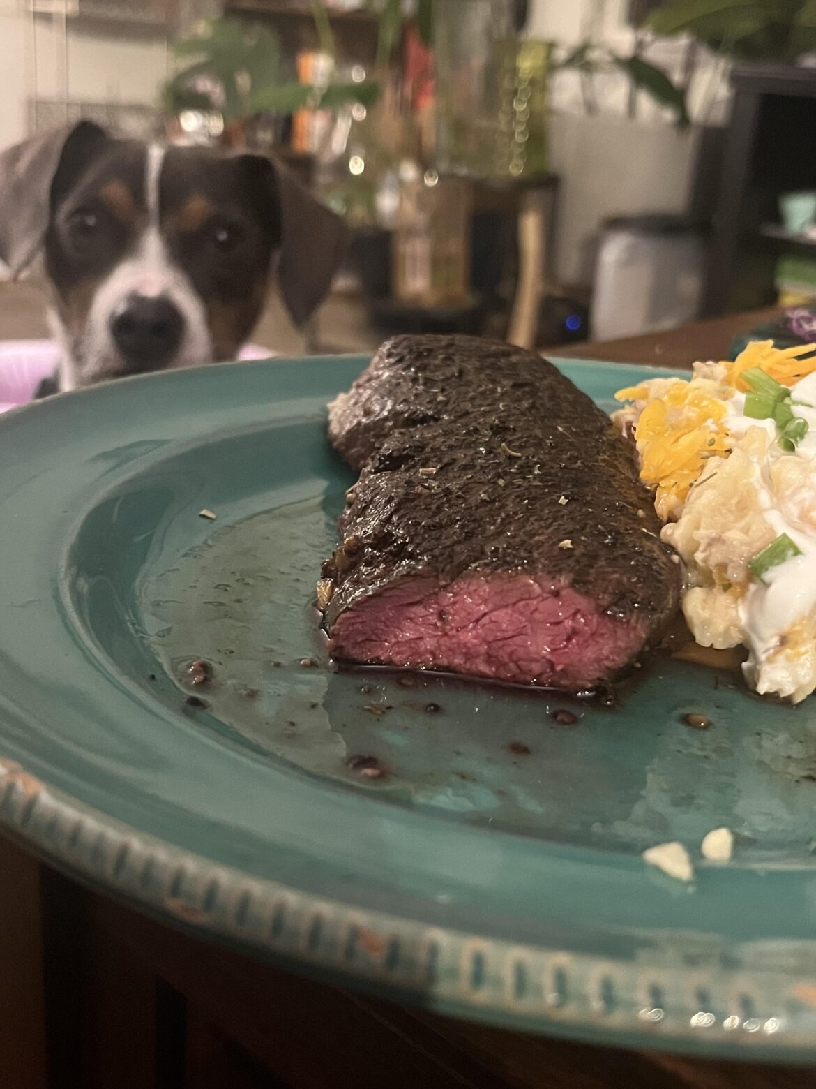 Under the watchful eye of Pete