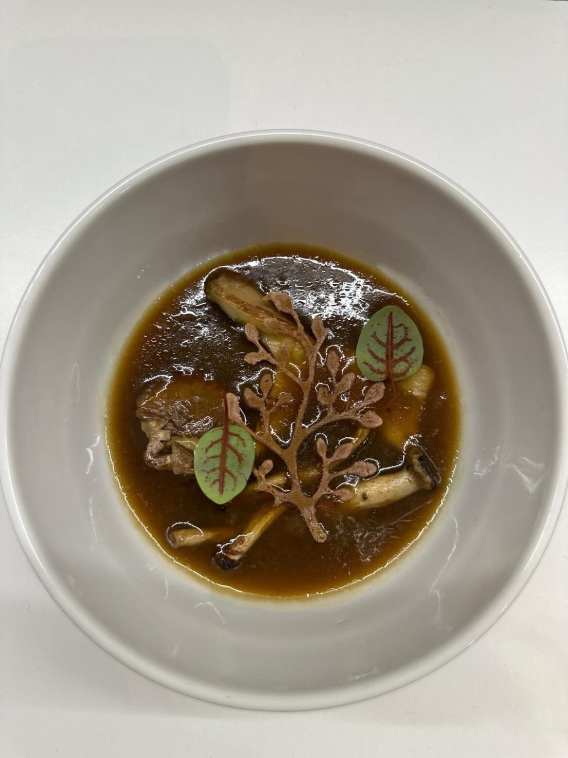 Porcini burnt broth, smoked pioppini and cardoncelli mushrooms, barley.
