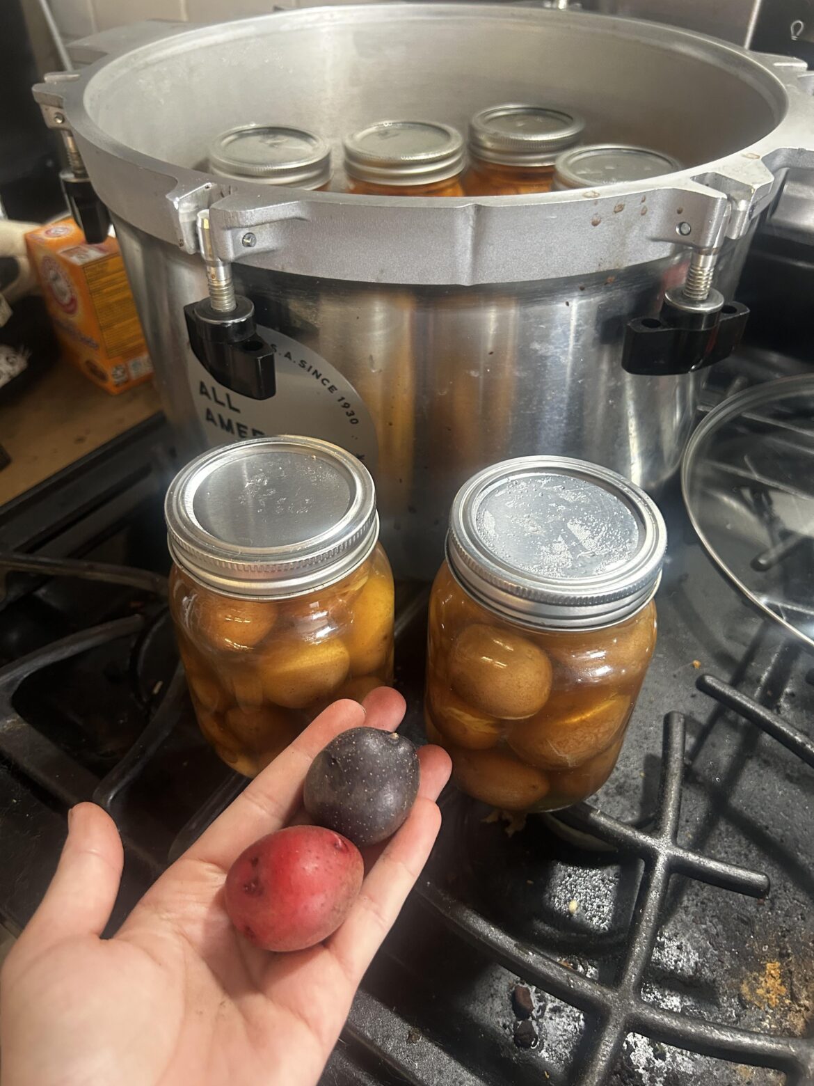 Why did they lose their color?