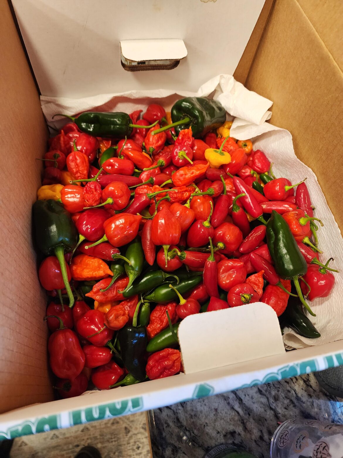 Big ol' box of angry!