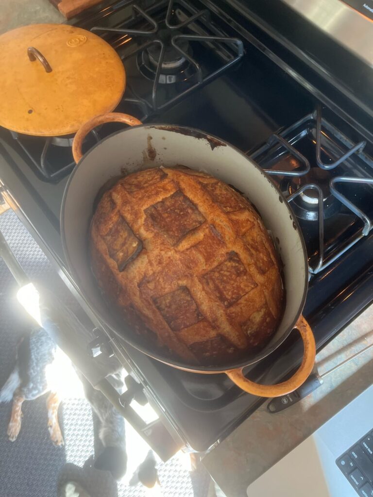 Why are my loaves sooo big!?