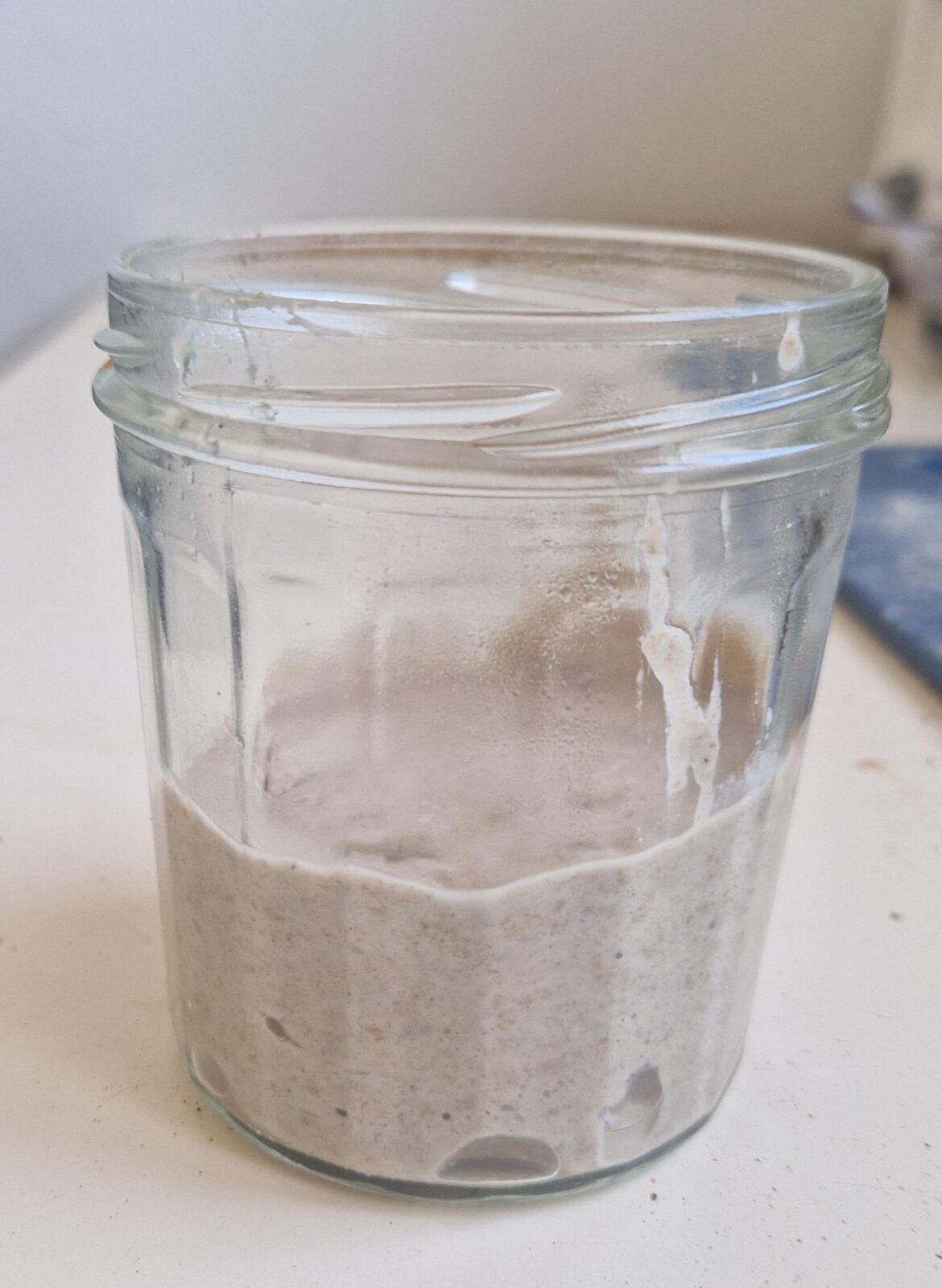 Got my first starter from a bakery, what do I do now?